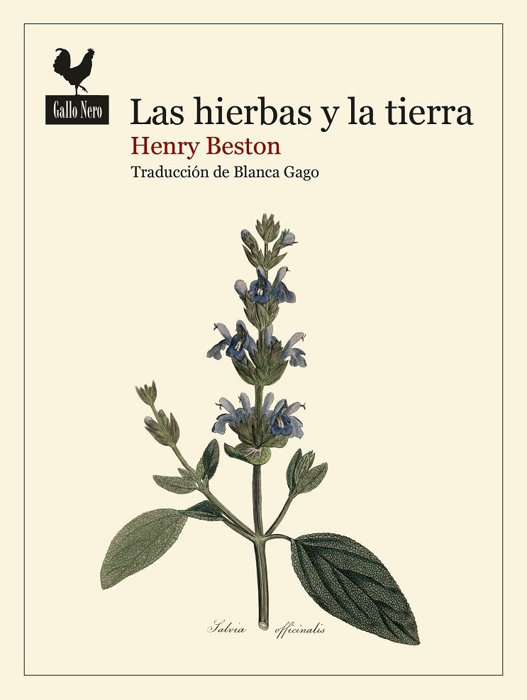 LAS HIERBAS Y LA TIERRA | 9788419168740 | BESTON, HENRY | Galatea Llibres | Llibreria online de Reus, Tarragona | Comprar llibres en català i castellà online