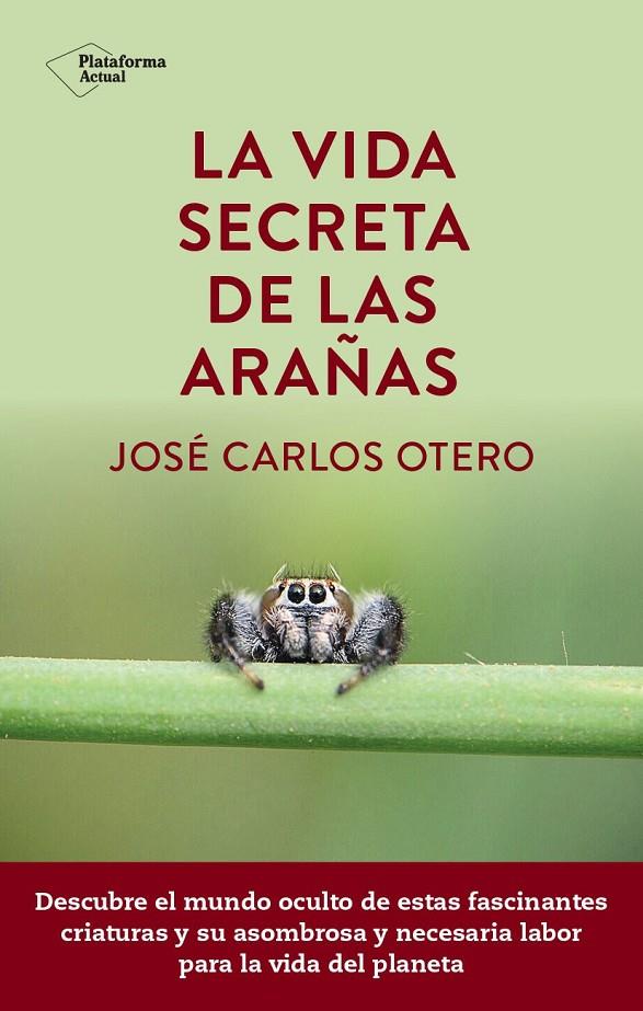 LA VIDA SECRETA DE LAS ARAÑAS | 9788419655189 | OTERO, JOSÉ CARLOS | Galatea Llibres | Librería online de Reus, Tarragona | Comprar libros en catalán y castellano online