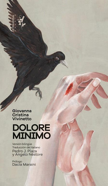 DOLORE MINIMO | 9788412276664 | VIVINETTO, GIOVANNA CRISTINA | Galatea Llibres | Librería online de Reus, Tarragona | Comprar libros en catalán y castellano online