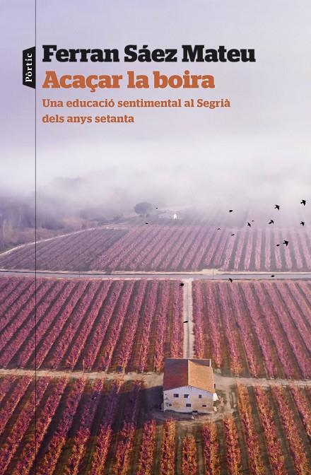 ACAÇAR LA BOIRA | 9788498095203 | SAEZ MATEU, FERRAN | Galatea Llibres | Librería online de Reus, Tarragona | Comprar libros en catalán y castellano online