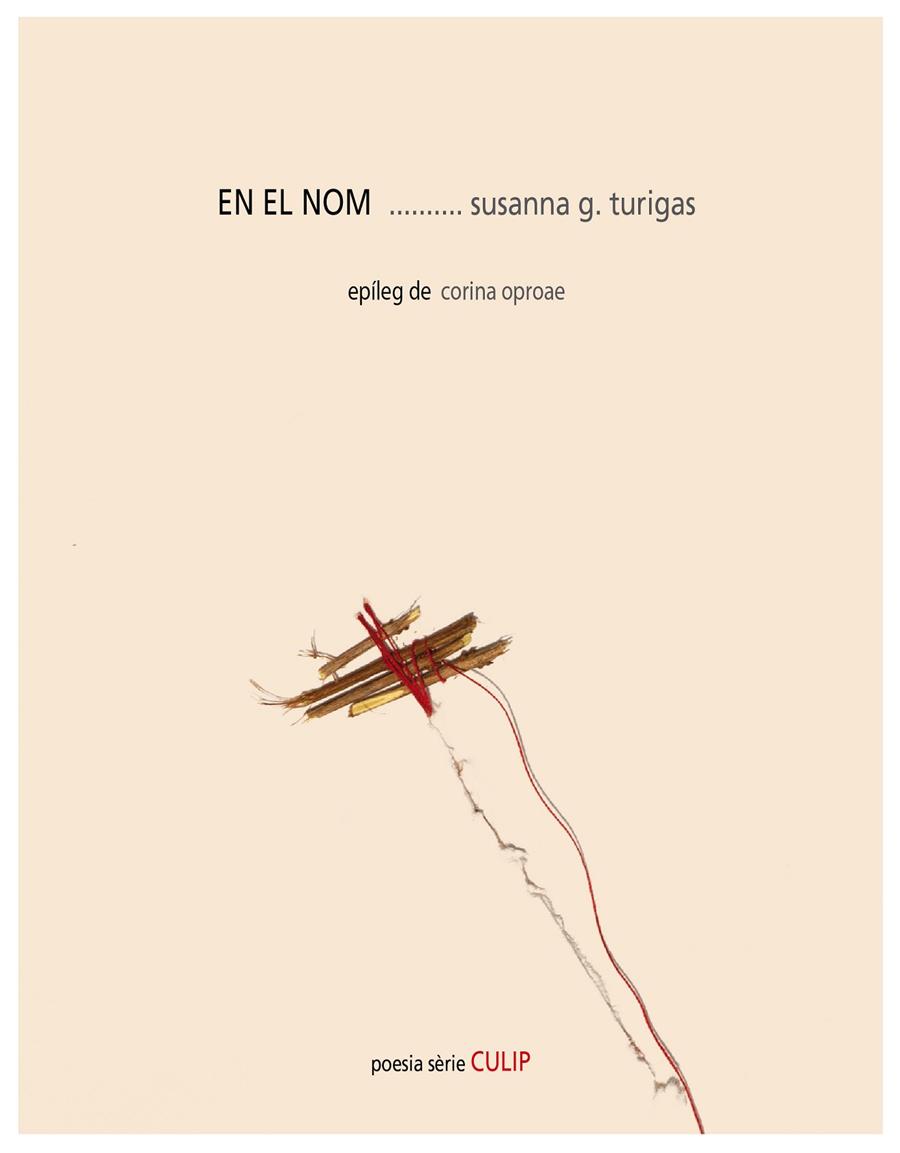 EN EL NOM | 9788481280968 | GONZÁLEZ TURIGAS, SUSANNA | Galatea Llibres | Llibreria online de Reus, Tarragona | Comprar llibres en català i castellà online