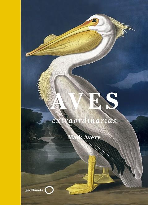 AVES EXTRAORDINARIAS | 9788408181477 | AVERY, MARK | Galatea Llibres | Librería online de Reus, Tarragona | Comprar libros en catalán y castellano online