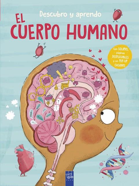 DESCUBRO Y APRENDO. EL CUERPO HUMANO | 9788408302087 | Galatea Llibres | Llibreria online de Reus, Tarragona | Comprar llibres en català i castellà online