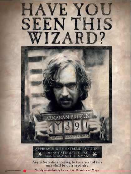 POSTER VIDRIO HARRY POTTER: HAVE YOU SEEN THIS WIZARD? | 8435450200748 | Galatea Llibres | Llibreria online de Reus, Tarragona | Comprar llibres en català i castellà online