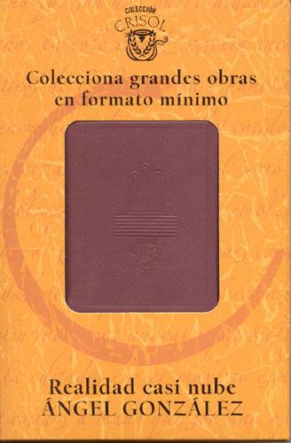 REALIDAD CASI NUBE | 9788403096363 | GONZALEZ, ANGEL | Galatea Llibres | Librería online de Reus, Tarragona | Comprar libros en catalán y castellano online
