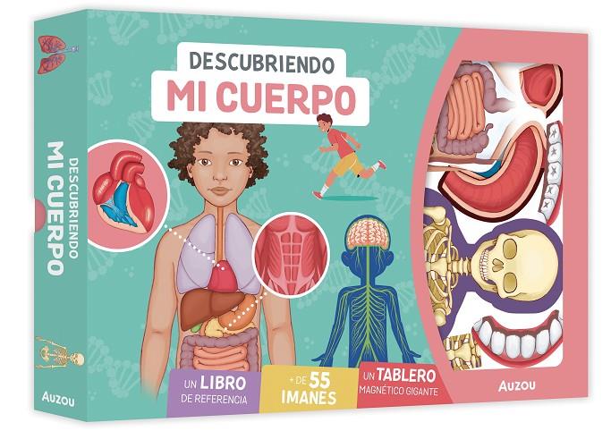 DESCUBRIENDO MI CUERPO. TABLERO MAGNÉTICO | 9791039580670 | PEDROLA, ADÈLE | Galatea Llibres | Llibreria online de Reus, Tarragona | Comprar llibres en català i castellà online