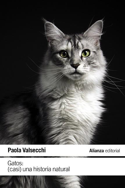 GATOS. CASI UNA HISTORIA NATURAL | 9788411485616 | VALSECCHI, PAOLA | Galatea Llibres | Llibreria online de Reus, Tarragona | Comprar llibres en català i castellà online