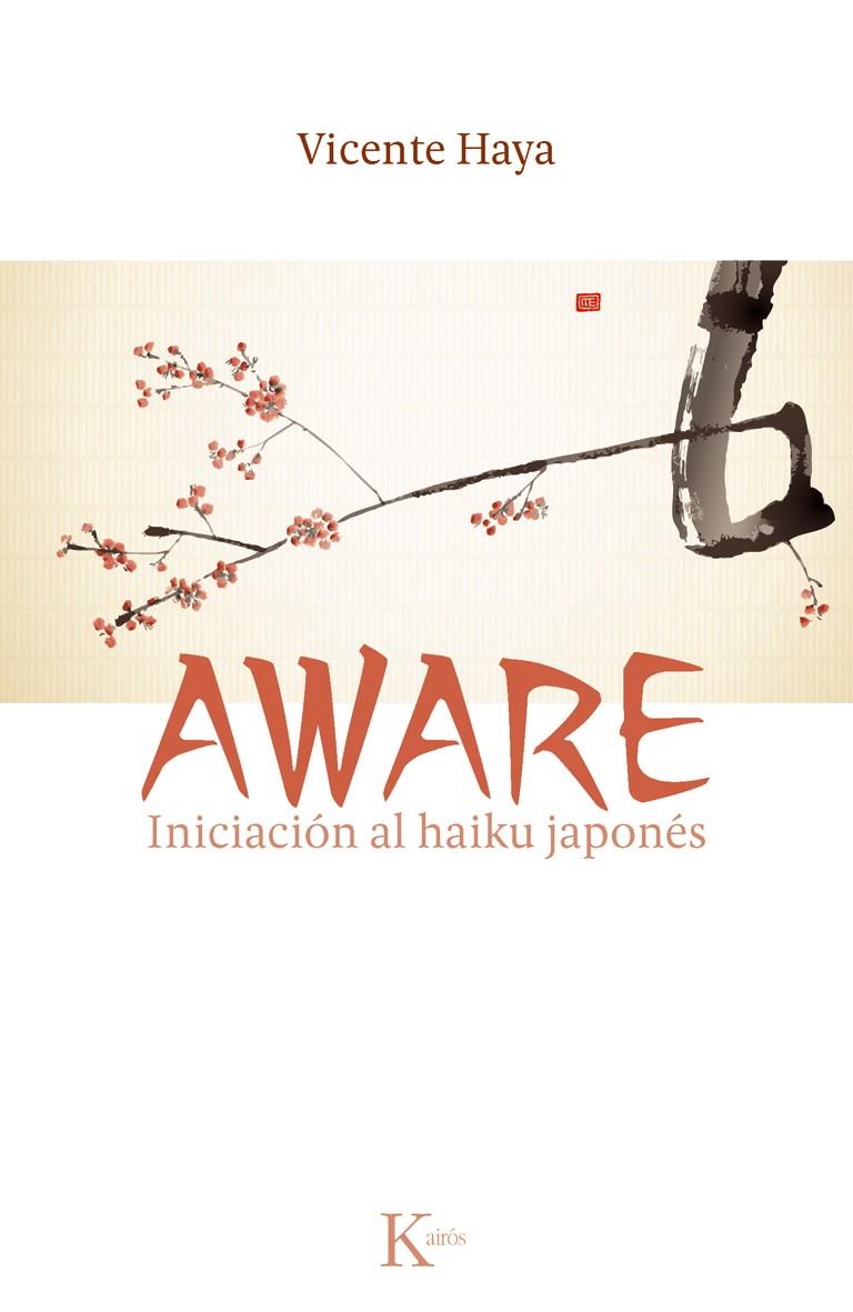 AWARE | 9788499882451 | HAYA, VICENTE | Galatea Llibres | Llibreria online de Reus, Tarragona | Comprar llibres en català i castellà online