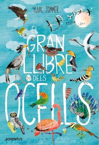 GRAN LLIBRE DELS OCELLS, EL | 9788426145840 | ZOMMER, YUVAL | Galatea Llibres | Librería online de Reus, Tarragona | Comprar libros en catalán y castellano online