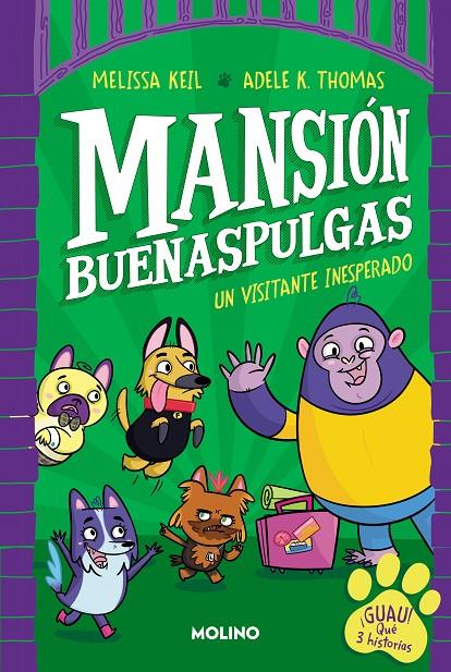 UN VISITANTE INESPERADO MANSION BUENASPULGAS 1 | 9788427233324 | KEIL, MELISSA | Galatea Llibres | Librería online de Reus, Tarragona | Comprar libros en catalán y castellano online