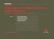 TOMO VII ESQUEMAS DE DERECHO PENAL PARTE ESPECIAL | 9788498769616 | AA.VV | Galatea Llibres | Librería online de Reus, Tarragona | Comprar libros en catalán y castellano online