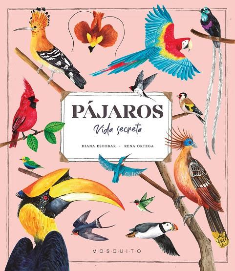 PÁJAROS. VIDA SECRETA | 9788419095527 | ESCOBAR, DIANA | Galatea Llibres | Librería online de Reus, Tarragona | Comprar libros en catalán y castellano online