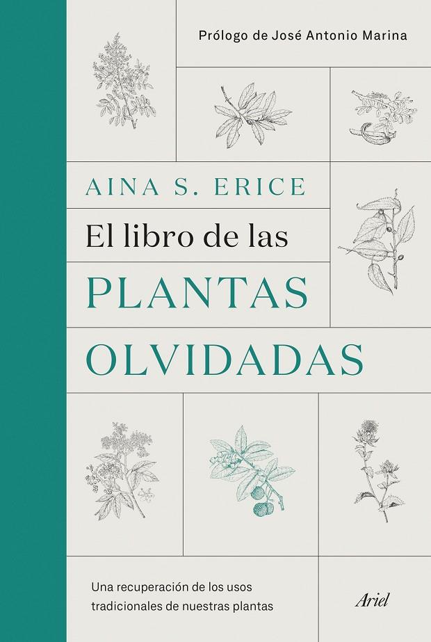 EL LIBRO DE LAS PLANTAS OLVIDADAS | 9788434431461 | ERICE, AINA | Galatea Llibres | Llibreria online de Reus, Tarragona | Comprar llibres en català i castellà online