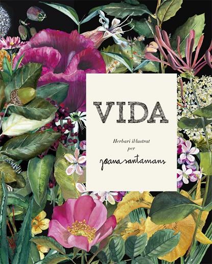 VIDA. HERBARI IL·LUSTRAT | 9788416670635 | SANTAMANS, JOANA | Galatea Llibres | Librería online de Reus, Tarragona | Comprar libros en catalán y castellano online