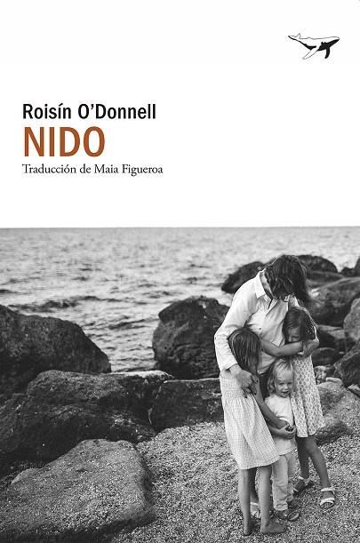 NIDO | 9791399130300 | O'DONNELL, ROISÍN | Galatea Llibres | Librería online de Reus, Tarragona | Comprar libros en catalán y castellano online