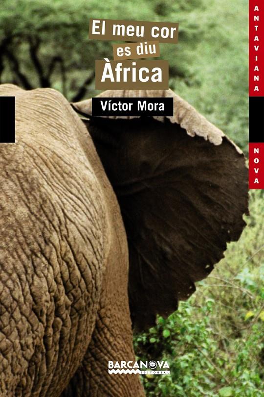 EL MEU COR ES DIU AFRICA | 9788448919160 | MORA, VICTOR | Galatea Llibres | Llibreria online de Reus, Tarragona | Comprar llibres en català i castellà online