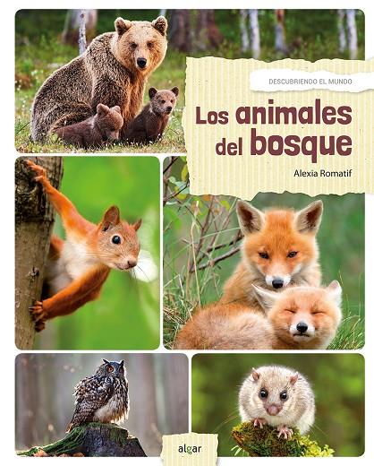 LOS ANIMALES DEL BOSQUE | 9788491421573 | POMPEÏ, CHRISTINE | Galatea Llibres | Librería online de Reus, Tarragona | Comprar libros en catalán y castellano online