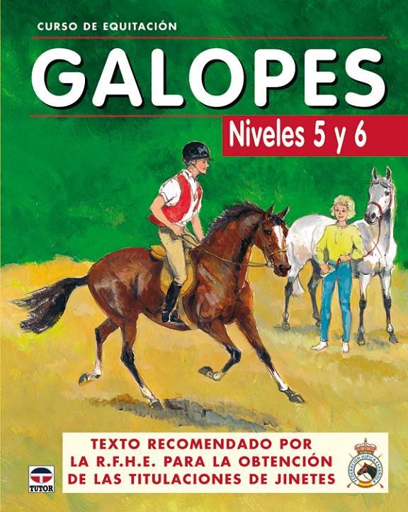GALOPES NIVELES 5 Y 6 | 9788479025625 | LOS AUTORES DE GALOPES | Galatea Llibres | Librería online de Reus, Tarragona | Comprar libros en catalán y castellano online