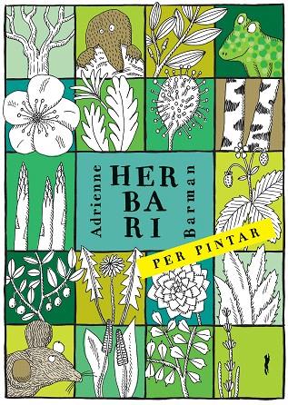 HERBARI PER PINTAR | 9788494990427 | BARMAN, ADRIANNE | Galatea Llibres | Llibreria online de Reus, Tarragona | Comprar llibres en català i castellà online