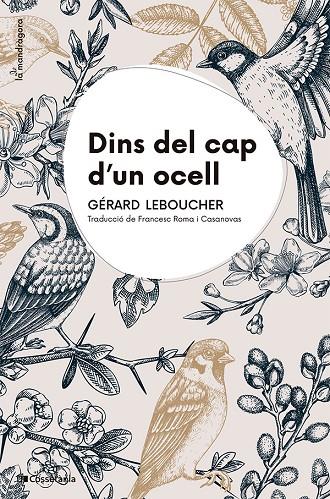 DINS DEL CAP D'UN OCELL | 9788413565163 | LEBOUCHER, GÉRARD | Galatea Llibres | Llibreria online de Reus, Tarragona | Comprar llibres en català i castellà online