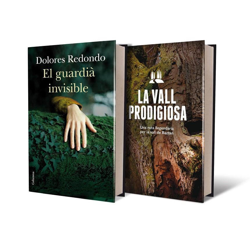 EL GUARDIÀ INVISIBLE + GUIA DE BAZTAN | 9788466419154 | REDONDO, DOLORES | Galatea Llibres | Llibreria online de Reus, Tarragona | Comprar llibres en català i castellà online