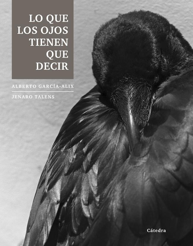 LO QUE LOS OJOS TIENEN QUE DECIR | 9788437633251 | GARCÍA-ALIX, ALBERTO/TALENS, JENARO | Galatea Llibres | Librería online de Reus, Tarragona | Comprar libros en catalán y castellano online