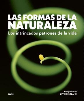 LAS FORMAS DE LA NATURALEZA | 9788410469822 | MAITLAND, DAVID | Galatea Llibres | Llibreria online de Reus, Tarragona | Comprar llibres en català i castellà online