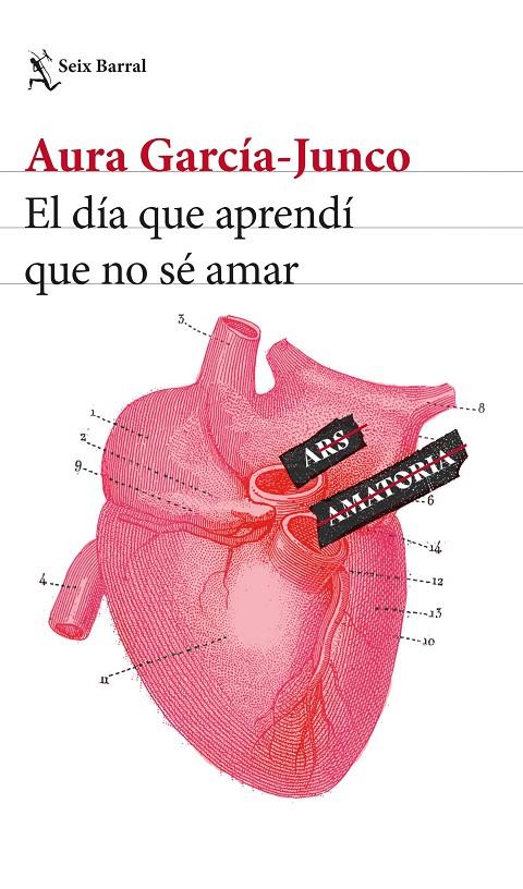 EL DÍA QUE APRENDÍ QUE NO SÉ AMAR | 9788432239823 | GARCÍA-JUNCO, AURA | Galatea Llibres | Llibreria online de Reus, Tarragona | Comprar llibres en català i castellà online