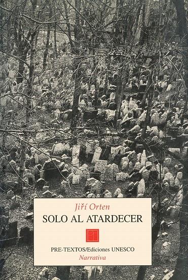 SOLO AL ATARDCER | 9788481911138 | ORTEN, JIRI | Galatea Llibres | Librería online de Reus, Tarragona | Comprar libros en catalán y castellano online