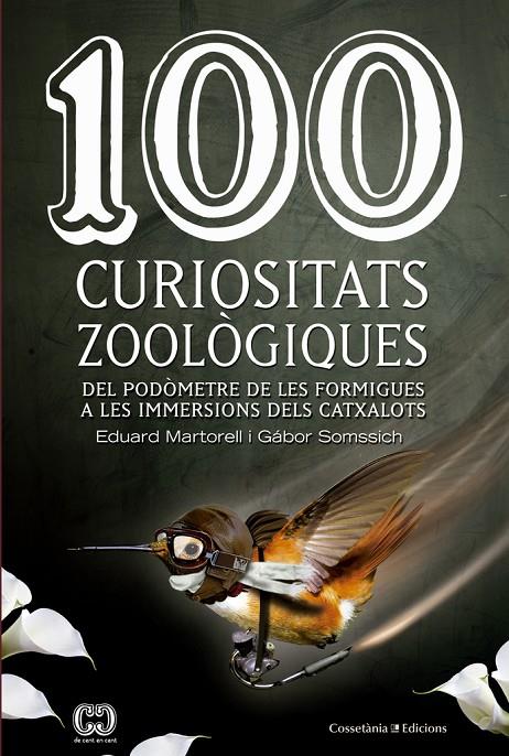 100 CURIOSITATS ZOOLÒGIQUES | 9788490343975 | MARTORELL I SABATÉ, EDUARD | Galatea Llibres | Librería online de Reus, Tarragona | Comprar libros en catalán y castellano online