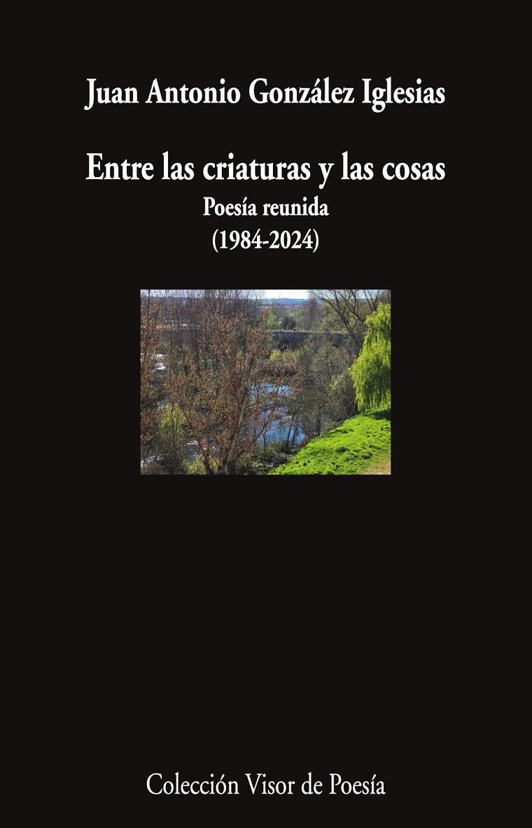 ENTRE LAS CRIATURAS Y LAS COSAS | 9791387745820 | GONZÁLEZ IGLESIAS, JUAN ANTONIO | Galatea Llibres | Llibreria online de Reus, Tarragona | Comprar llibres en català i castellà online