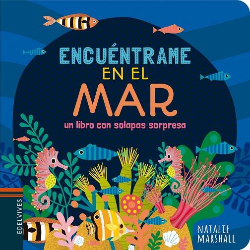 ENCUéNTRAME EN EL MAR | 9788414010945 | MARSHALL, NATALIE | Galatea Llibres | Librería online de Reus, Tarragona | Comprar libros en catalán y castellano online