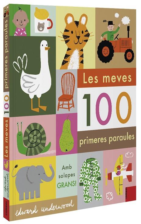 LES MEVES 100 PRIMERES PARAULES | 9788491015932 | Galatea Llibres | Librería online de Reus, Tarragona | Comprar libros en catalán y castellano online