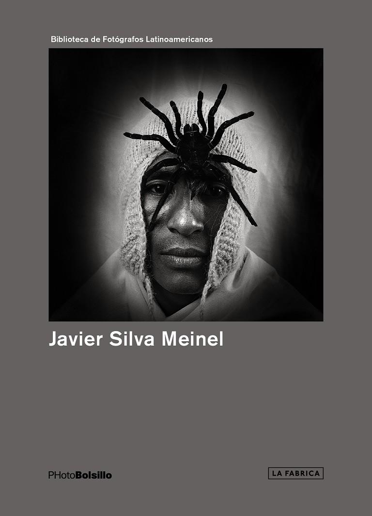 JAVIER SILVA MEINEL | 9788415303831 | SILVA MEINEL, JAVIER | Galatea Llibres | Librería online de Reus, Tarragona | Comprar libros en catalán y castellano online