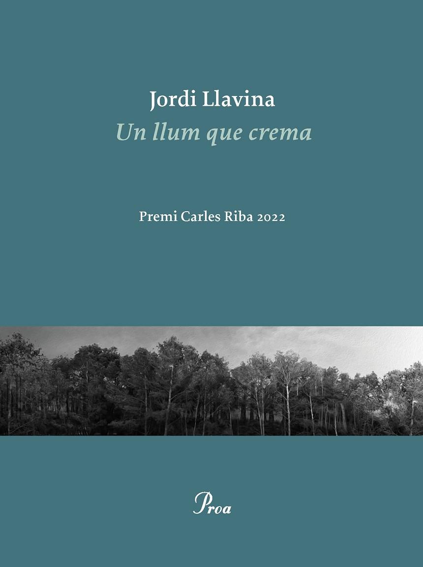 UN LLUM QUE CREMA | 9788475889979 | LLAVINA, JORDI | Galatea Llibres | Librería online de Reus, Tarragona | Comprar libros en catalán y castellano online