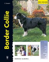 BORDER COLLIE | 9788425513053 | SUSSAM, ESTEPHEN | Galatea Llibres | Librería online de Reus, Tarragona | Comprar libros en catalán y castellano online