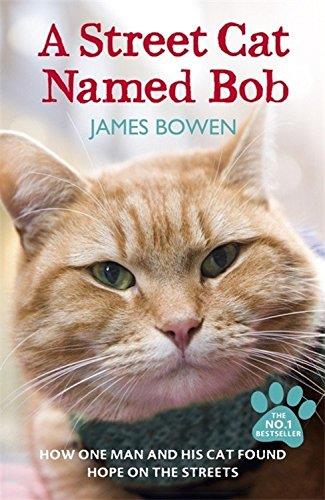 A STREET CAT NAMED BOB | 9781444737110 | JAMES BOWEN | Galatea Llibres | Llibreria online de Reus, Tarragona | Comprar llibres en català i castellà online