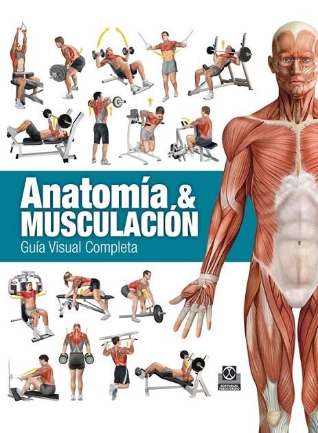 ANATOMÍA & MUSCULACIÓN. GUÍA VISUAL COMPLETA (COLOR) | 9788499104911 | CÁNOVAS LINARES, RICARDO | Galatea Llibres | Librería online de Reus, Tarragona | Comprar libros en catalán y castellano online