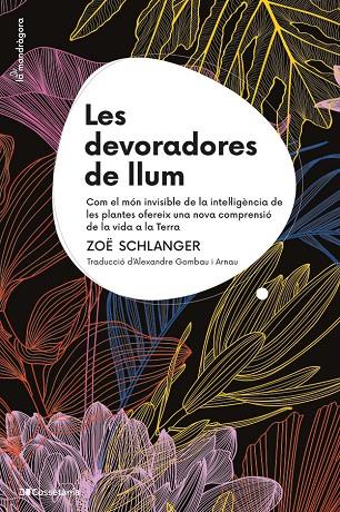 LES DEVORADORES DE LLUM | 9788413564821 | SCHLANGER, ZOË | Galatea Llibres | Librería online de Reus, Tarragona | Comprar libros en catalán y castellano online