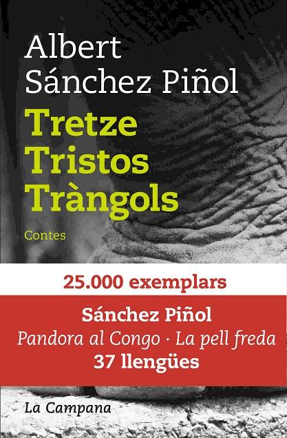 TRETZE TRISTOS TRÀNGOLS | 9788416863082 | SÁNCHEZ PIÑOL, ALBERT | Galatea Llibres | Librería online de Reus, Tarragona | Comprar libros en catalán y castellano online