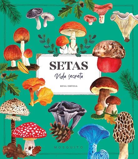 SETAS. VIDA SECRETA | 9788410417670 | ORTEGA, RENA | Galatea Llibres | Llibreria online de Reus, Tarragona | Comprar llibres en català i castellà online