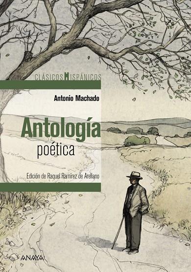 ANTOLOGÍA POÉTICA MACHADO | 9788469866160 | MACHADO, ANTONIO | Galatea Llibres | Librería online de Reus, Tarragona | Comprar libros en catalán y castellano online