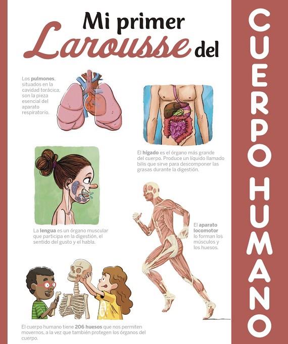 MI PRIMER LAROUSSE DEL CUERPO HUMANO | 9788417273583 | Galatea Llibres | Librería online de Reus, Tarragona | Comprar libros en catalán y castellano online