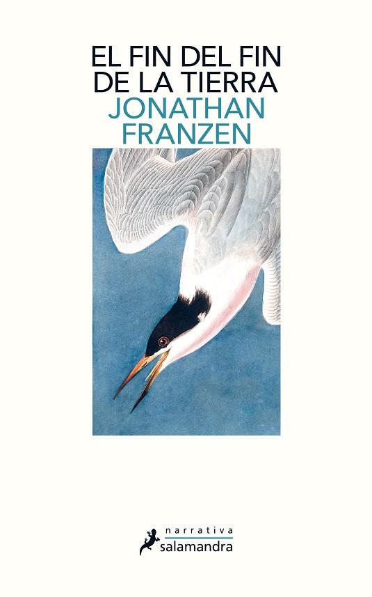 EL FIN DEL FIN DE LA TIERRA | 9788498389340 | FRANZEN, JONATHAN | Galatea Llibres | Llibreria online de Reus, Tarragona | Comprar llibres en català i castellà online