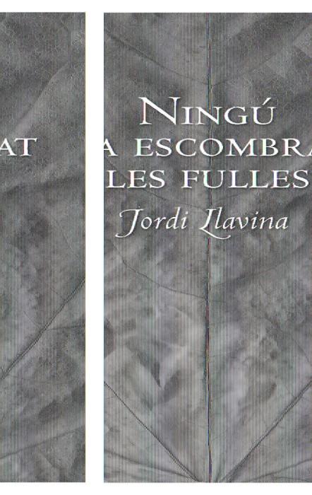 NINGU HA ESCOMBRAT LES FULLES | 9788492406197 | LLAVINA, JORDI | Galatea Llibres | Llibreria online de Reus, Tarragona | Comprar llibres en català i castellà online