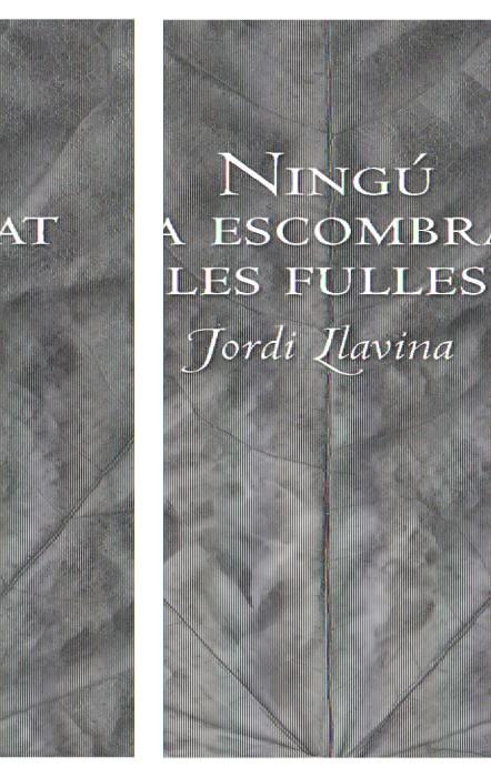 NINGU HA ESCOMBRAT LES FULLES | 9788492406197 | LLAVINA, JORDI | Galatea Llibres | Librería online de Reus, Tarragona | Comprar libros en catalán y castellano online