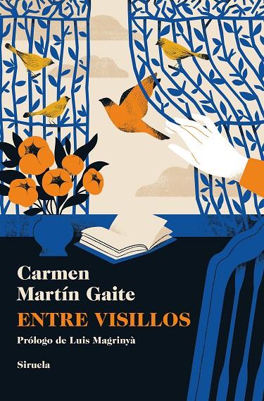 ENTRE VISILLOS | 9788410415317 | MARTÍN GAITE, CARMEN | Galatea Llibres | Llibreria online de Reus, Tarragona | Comprar llibres en català i castellà online