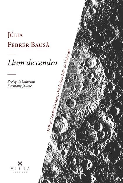 LLUM DE CENDRA | 9791387961473 | FEBRER BAUSÀ, JÚLIA | Galatea Llibres | Llibreria online de Reus, Tarragona | Comprar llibres en català i castellà online