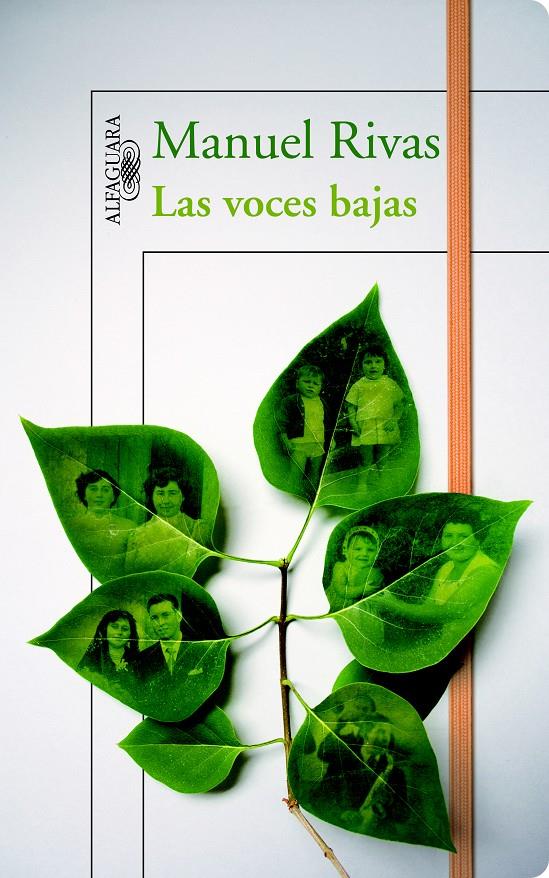 LAS VOCES BAJAS | 9788420411507 | RIVAS, MANUEL | Galatea Llibres | Llibreria online de Reus, Tarragona | Comprar llibres en català i castellà online