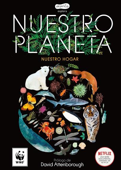 NUESTRO PLANETA | 9788417222765 | WHYMAN, MATT | Galatea Llibres | Librería online de Reus, Tarragona | Comprar libros en catalán y castellano online